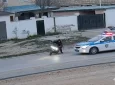 В Мангистау подросток на мопеде пытался уйти от полиции и чуть не попал под колеса