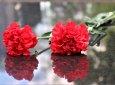 Как отметят День защитника Отечества и День Победы в Актау