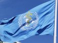 ВОЗ призвала не паниковать из-за вспышки хантавируса на лайнере