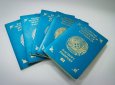 Семью выдворили из Казахстана за скрытое иностранное гражданство