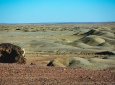 455 га пашни вернули в госсобственность в Костанайской области