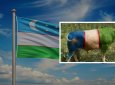 Быка раскрасили в цвета флага ради рекламы в Узбекистане