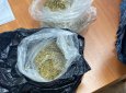 Собака Детектив не пропустила запрещенку осужденному в Уральске