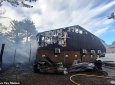 Все животные погибли в зоопарке из-за пожара в Великобритании