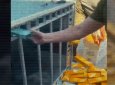 Контрабанду сигарет на 180 млн тенге пытались ввезти в Казахстан через Жамбылскую область (ВИДЕО)