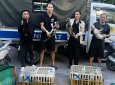 Сеть по отлову кошек для употребления в пищу раскрыли во Вьетнаме