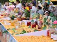 Солнечный бренд региона