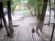 Ветка рухнула прямо на голову девушки в Жетысу (ВИДЕО)