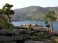 Введено ограничение на посещение Баянаульского нацпарка