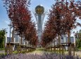 День столицы: чем Астана покоряет туристов и почему ее называют городом будущего