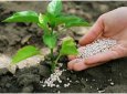 Экспортные цены на российские удобрения обвалились на 40%