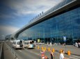 Клопы атаковали пассажиров в аэропорту Домодедово