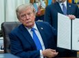 Трамп вновь пытается ограничить гражданство США по рождению