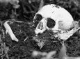 Ученые нашли скелет с более чем 160 переломами: возможная жертва средневекового оружия в Шотландии