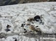 Рюкзак, потерянный 63 года назад, нашли на тающем леднике в Австрии