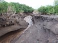 Один человек погиб, 11 пропали без вести из-за схода селя на востоке Китая