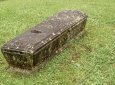 Семь гробов и останки младенца нашли на территории дома губернатора в США