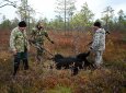В Сибири начали охоту на медведей после гибели двух женщин, собиравших грибы