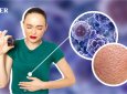 Как кишечник влияет на иммунитет и общее самочувствие: объяснение гастроэнтеролога