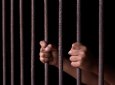 Женщина продала знакомых в мошеннический центр Мьянмы