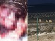 Содранный скальп и разорванные руки: медведь растерзал рабочего на Таймыре