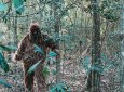 79 человек заявили, что видели снежного человека