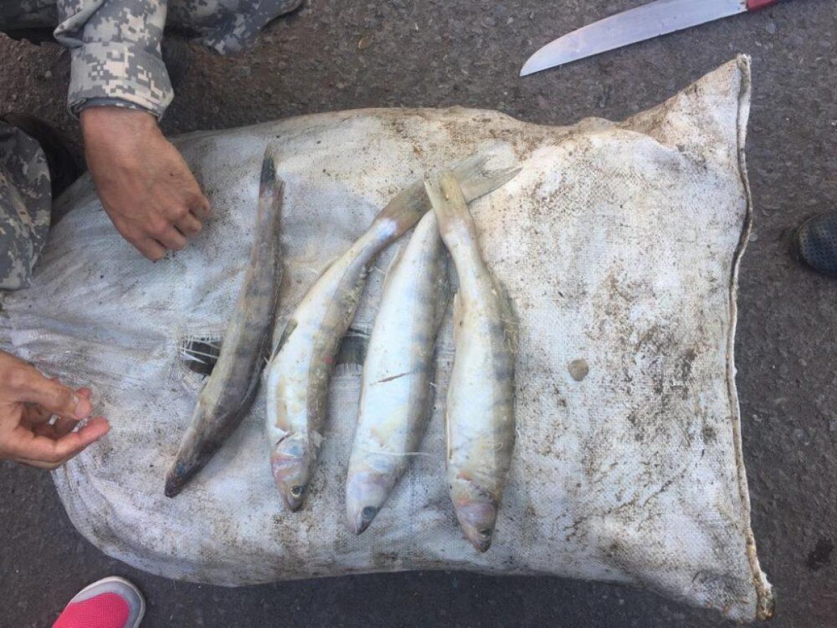 В Балхаше найден потенциальный браконьер