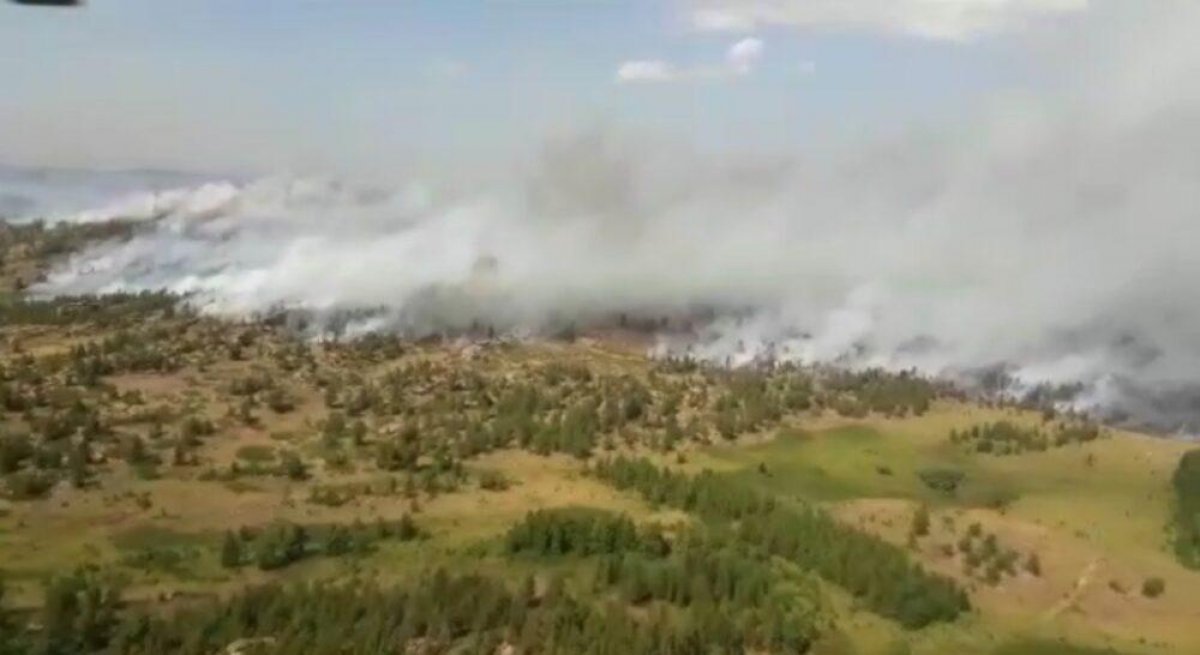 Площадь пожара в государственном национальном парке в Карагандинской области увеличилась