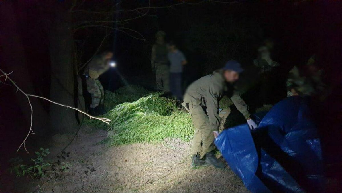 Полицейские задержали сельчанина с более 125 кг марихуаны