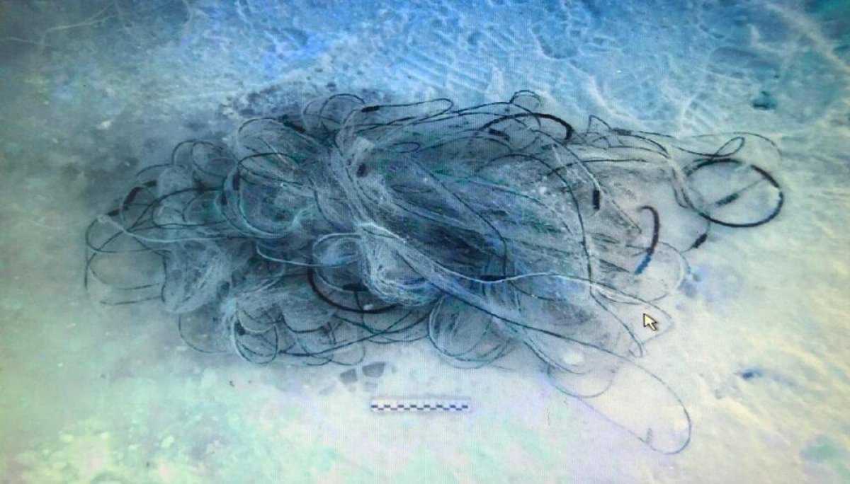 Около 100 кг рыбы на 2 000 метров сети поймали браконьеры в озере Балхаш