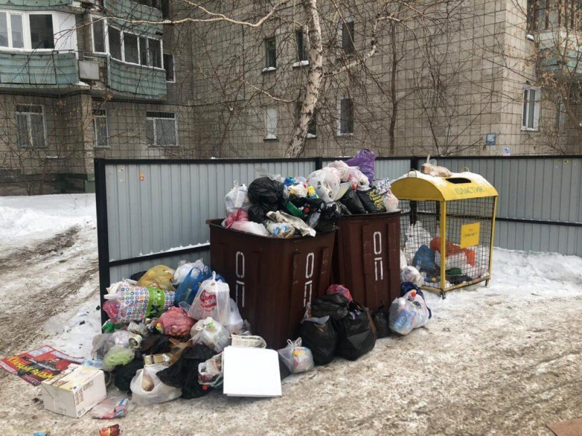 Схватка чиновников и частников: Почему Павлодар утопает в горах мусора