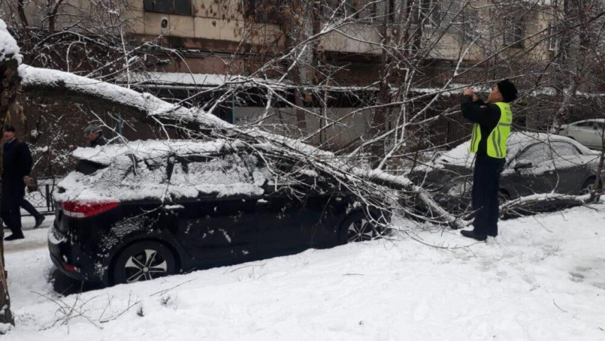 Паркуем транспортное средство