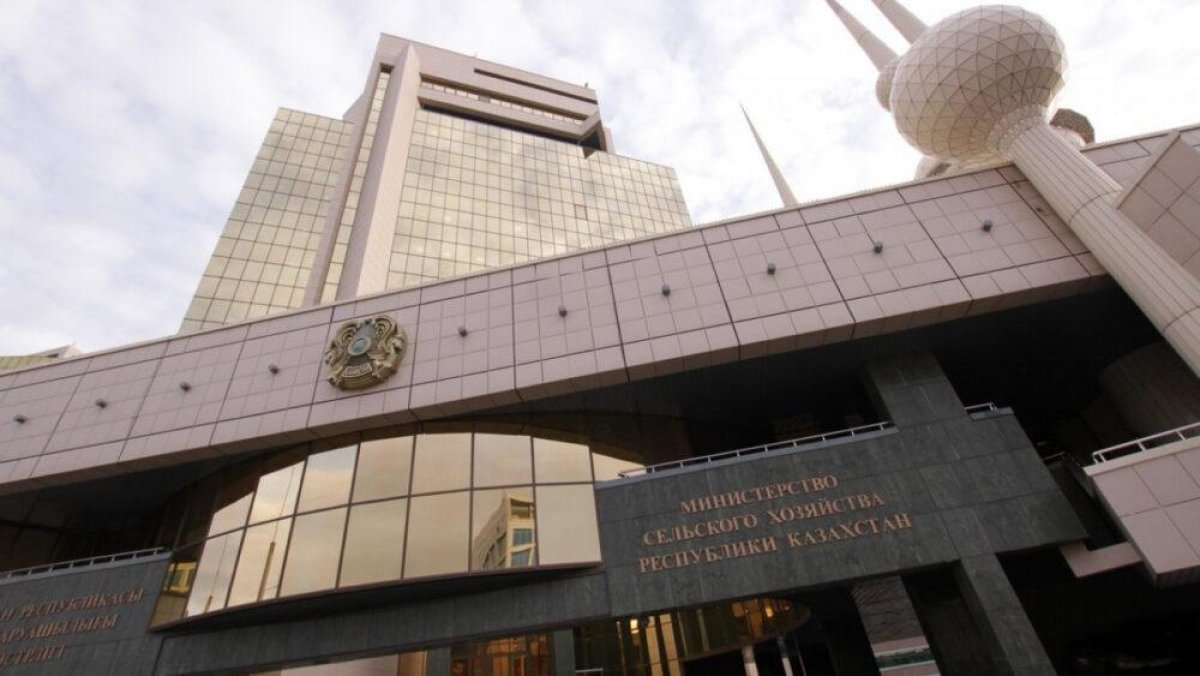 Казахстанские предприниматели смогут написать в Минсельхоз по WhatsApp