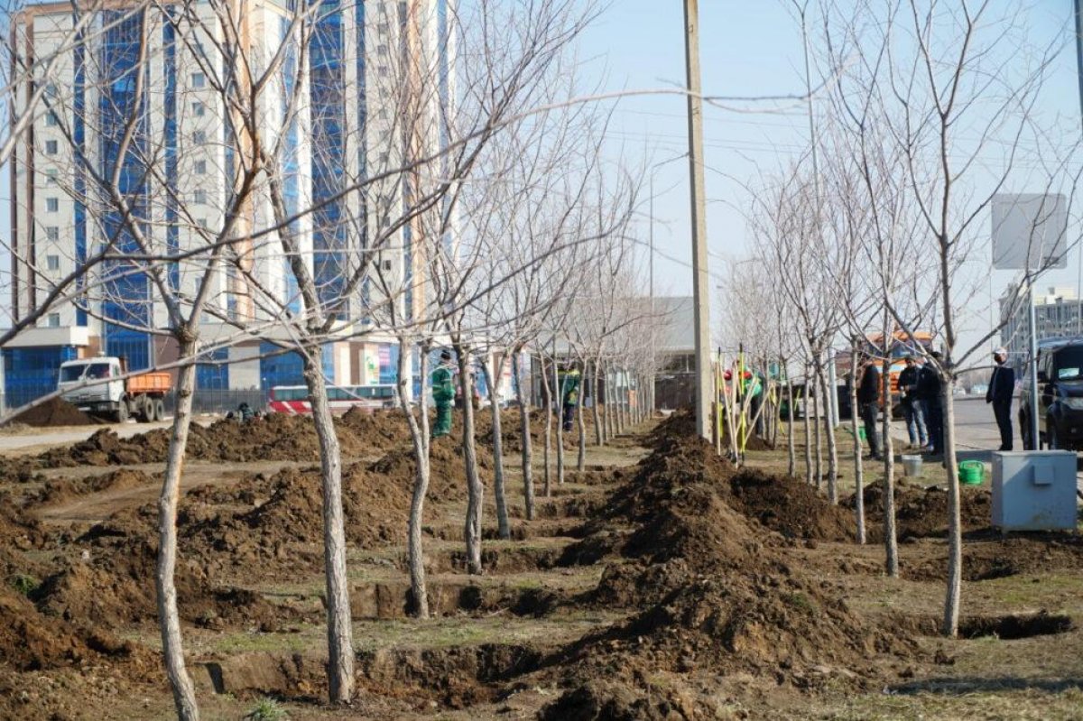 Цветы и деревья начали высаживать в Нур-Султане