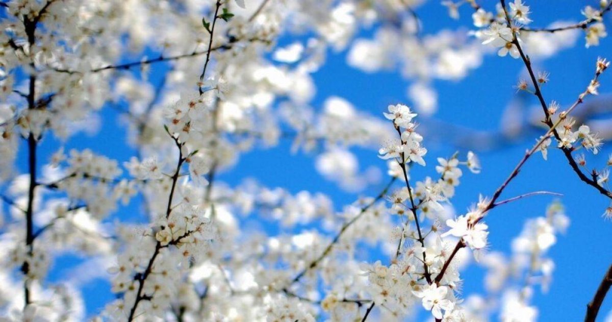 Погода без осадков ожидается на большей части Казахстана 19 апреля