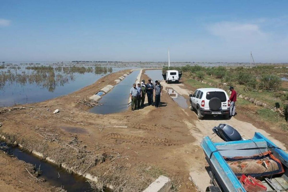 Рыба в сточных водах Мактааральского района непригодна для пищи