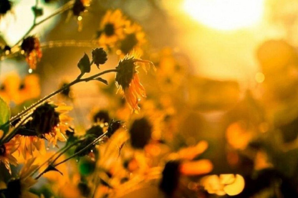 Шквал и жара ожидаются в ряде регионов Казахстана 27 мая