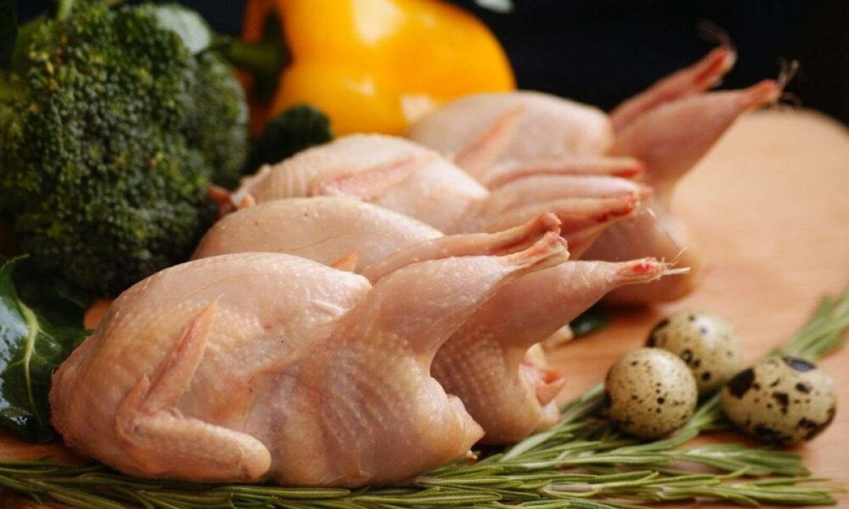 Доля импорта мяса птицы в Казахстане составляет 45% - Минсельхоз