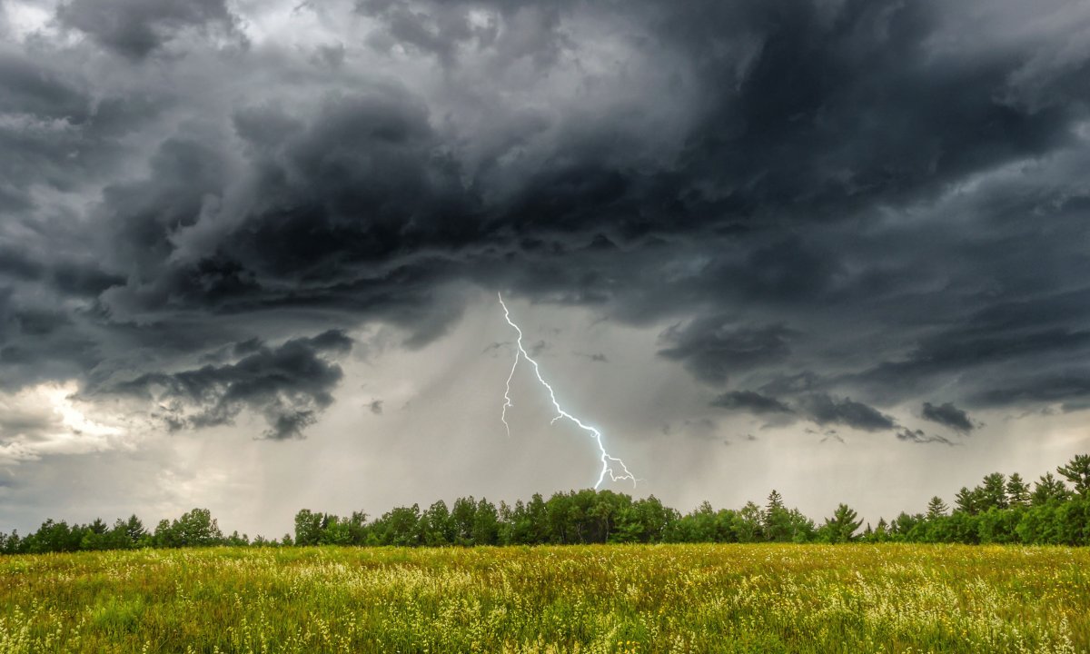 Дожди с грозами и градом ожидаются на севере Казахстана 1 июня