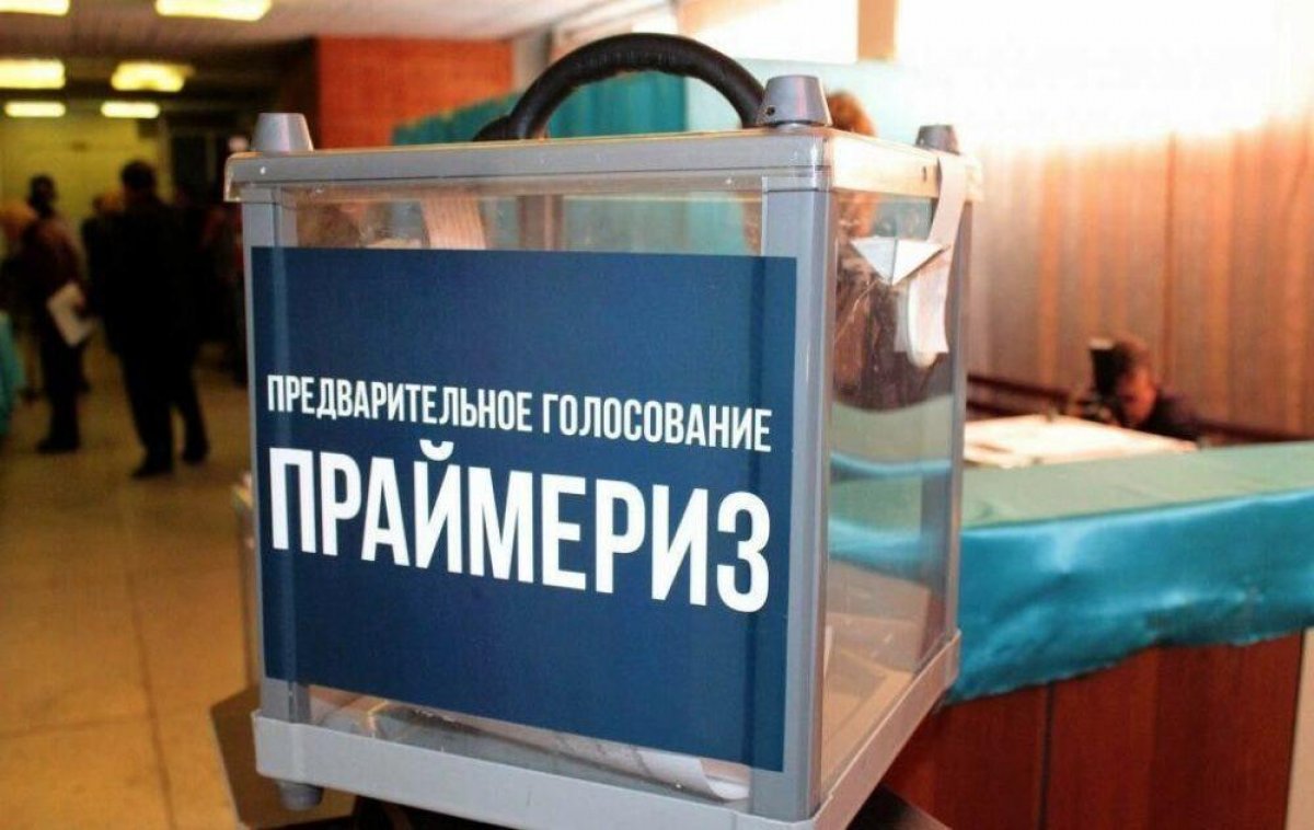 Кому выгодно дискредитировать праймериз