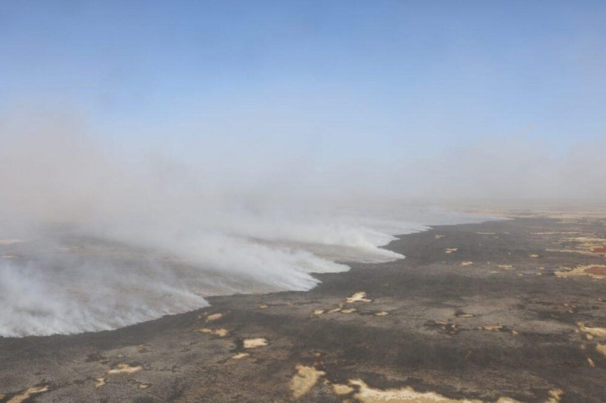 Возгорание камыша ликвидировали на побережье Каспия близ Атырау