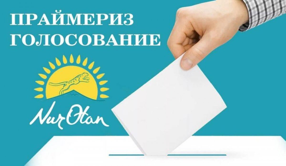 Партия Nur Otan приостановила прием новых членов