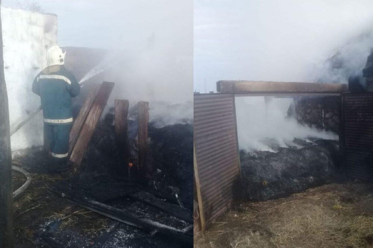 Ребенок случайно сжег 12 тонн сена в ВКО