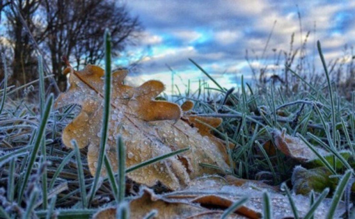 Заморозки до двух градусов и штормовое предупреждение: какой будет погода в Казахстане
