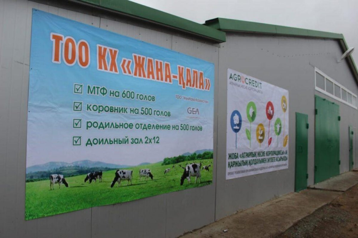 «КазАгро»: стратегический курс – увеличение молока в Казахстане