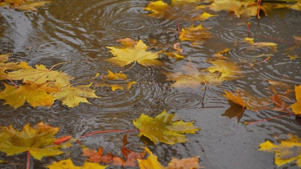 Дожди ожидаются в ряде регионов Казахстана 17 октября