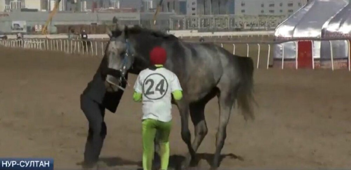 Скакуна загнали до смерти на турнире в Нур-Султане