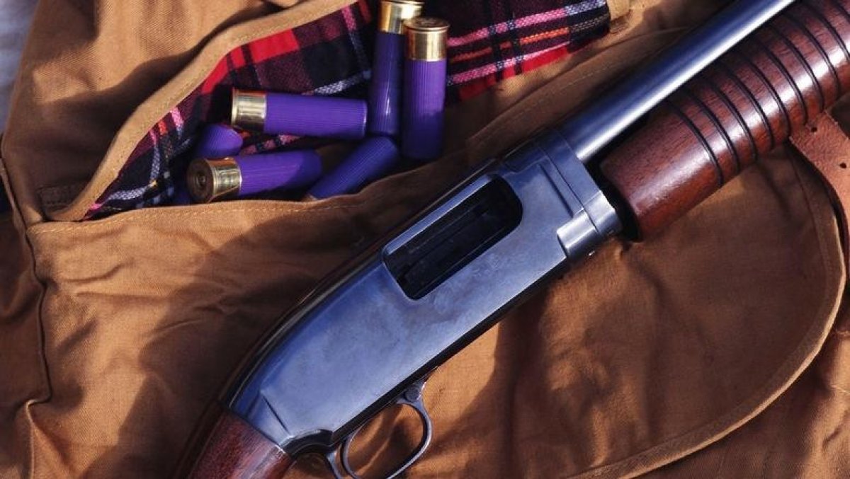 Вооруженный пьяный водитель сбил корову в Карагандинской области