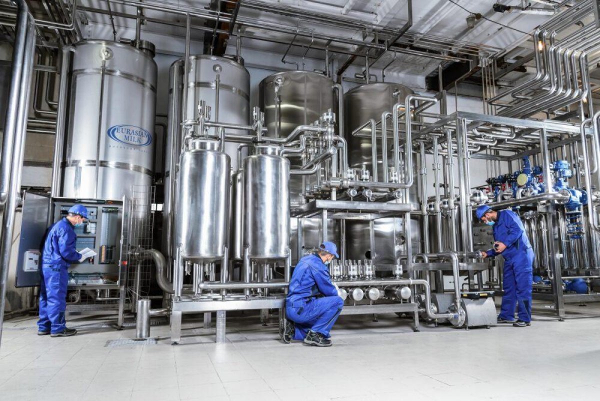 Рецепт швейцарский, молоко местное