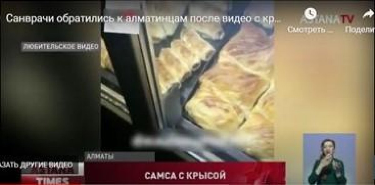 Крыса на самсе: санврачи Алматы нашли оскандалившийся киоск